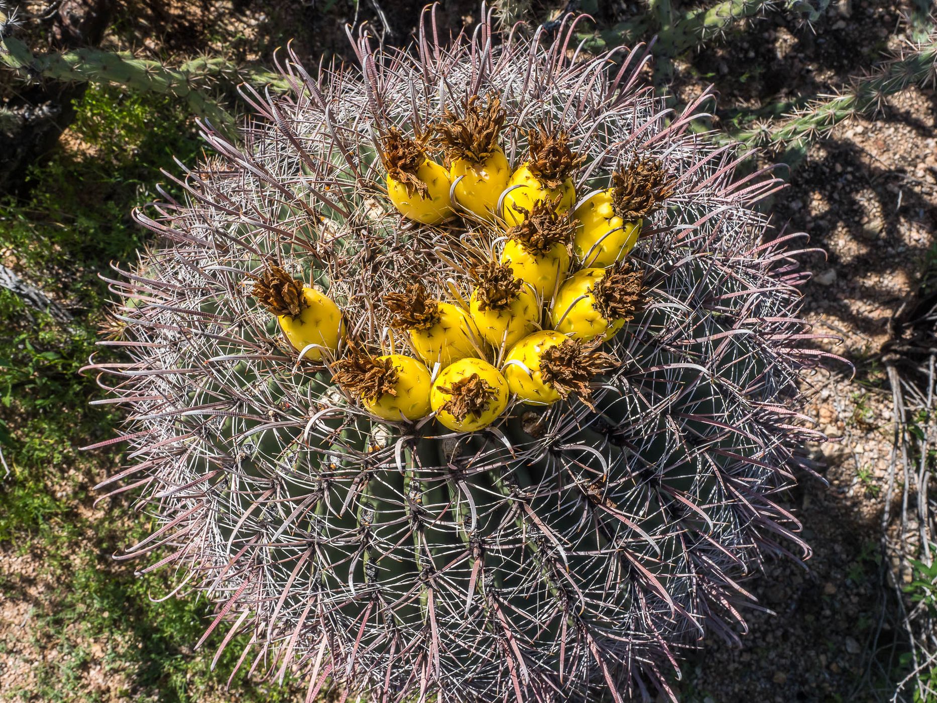 Valley View Trail, USA