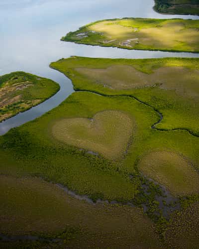 Voh's heart