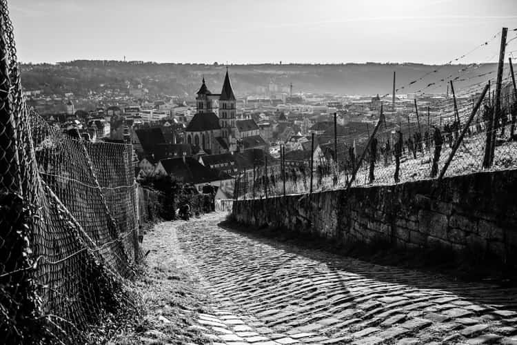 Weinsteige Esslingen