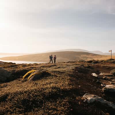 West Point Island, Falkland Islands, Falkland Islands (Malvinas)