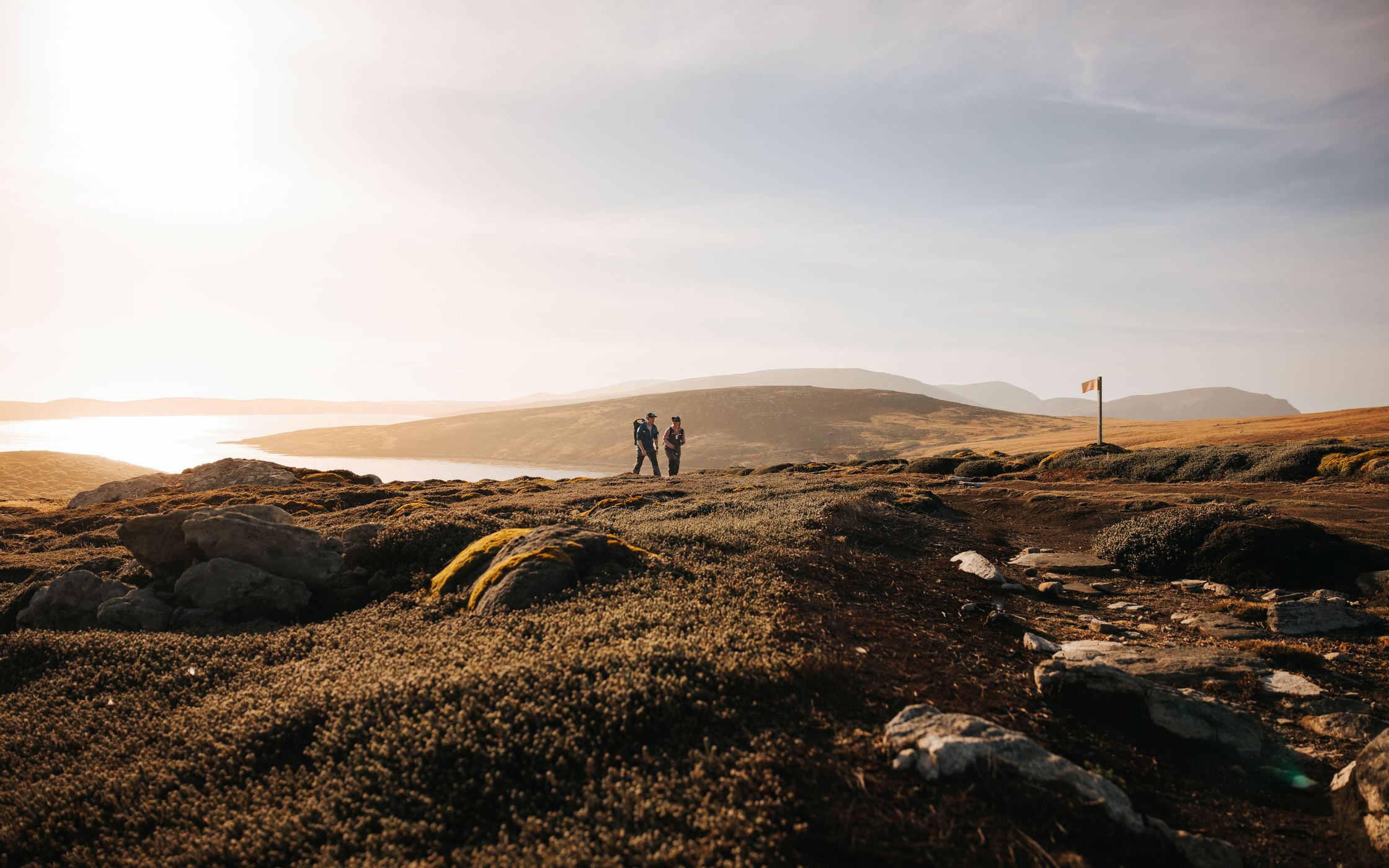West Point Island, Falkland Islands, Falkland Islands (Malvinas)
