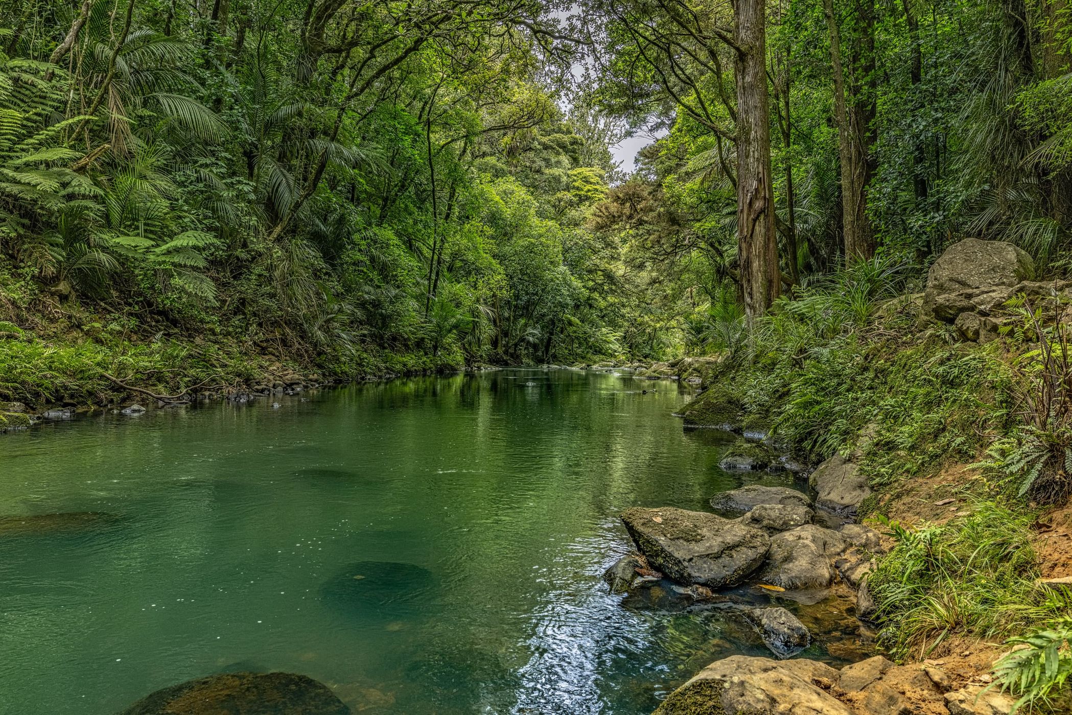 Whangarei Fall, New Zealand