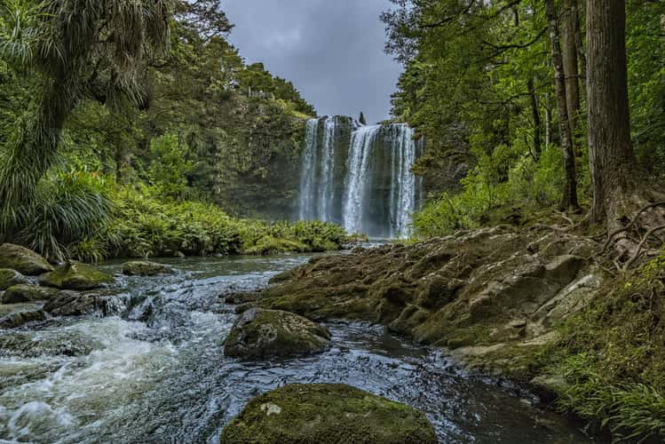 Whangarei Fall