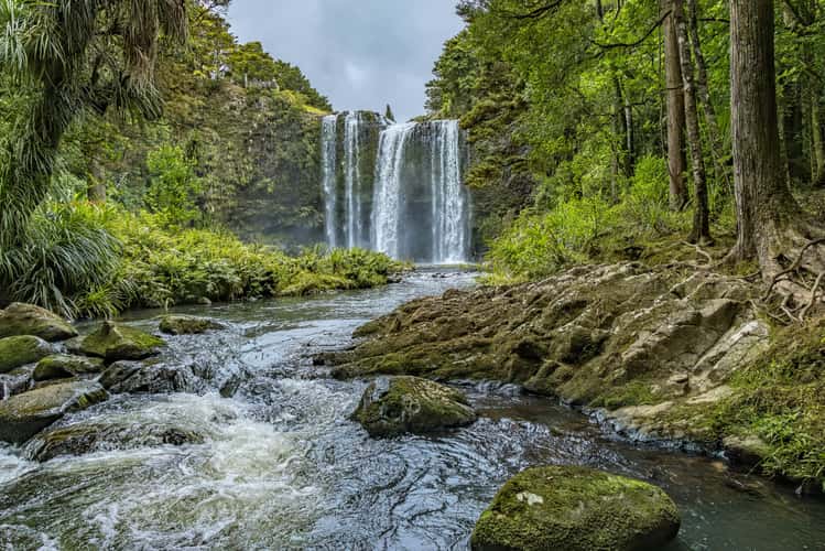 Whangarei Fall