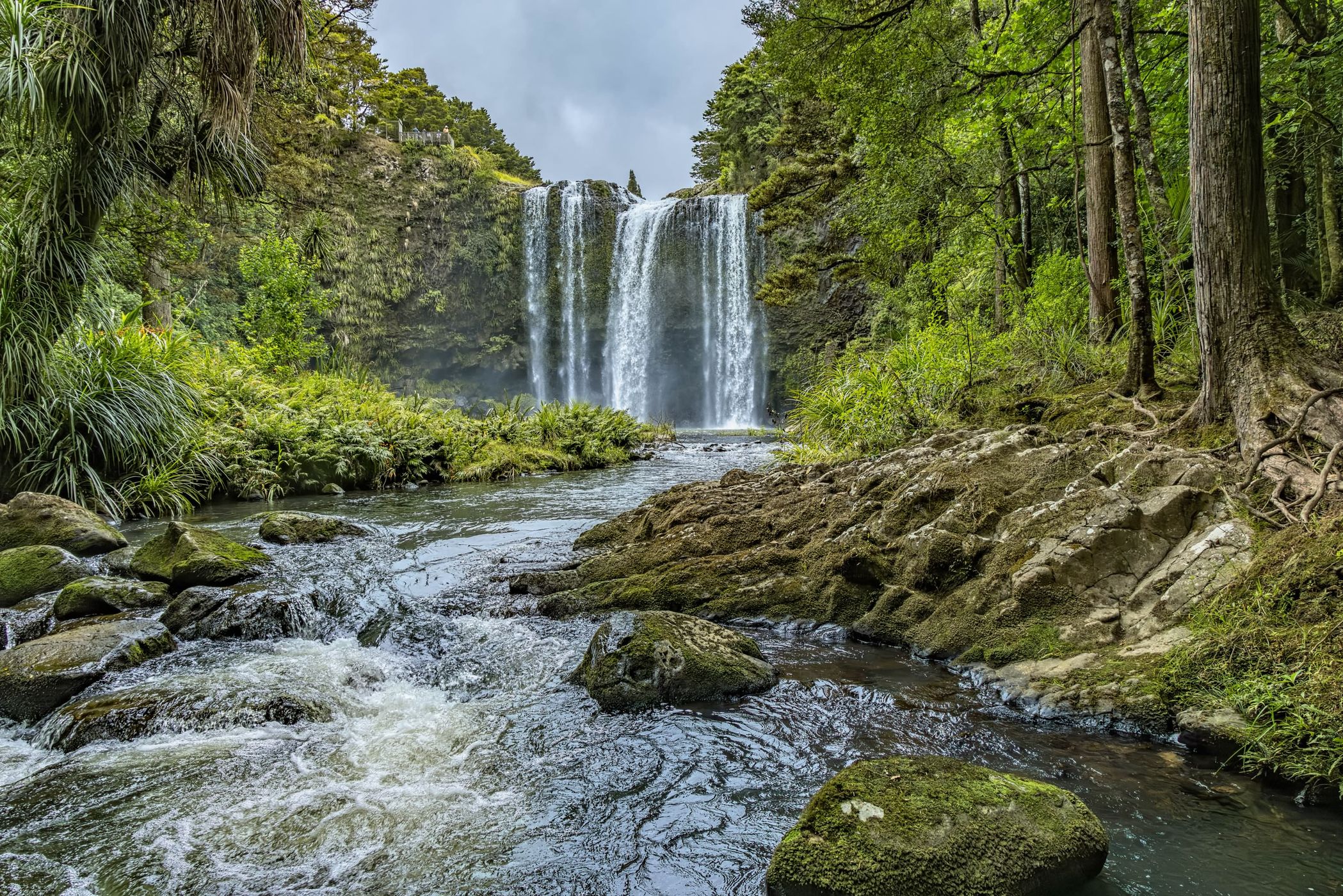 Whangarei Fall, New Zealand