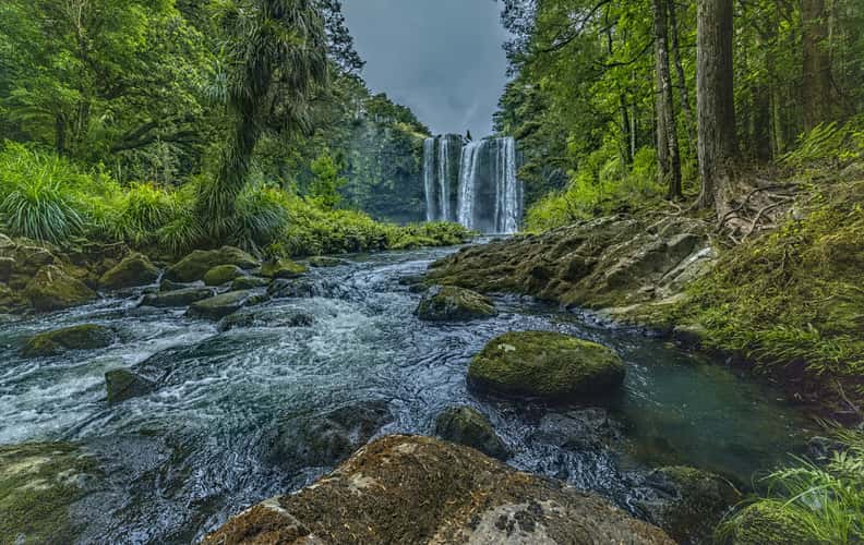 Whangarei Fall