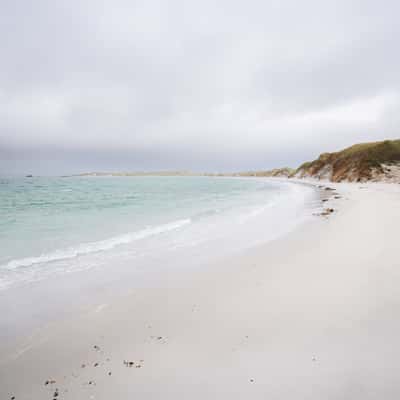 Yorke Bay Beach, Falkland Islands (Malvinas)
