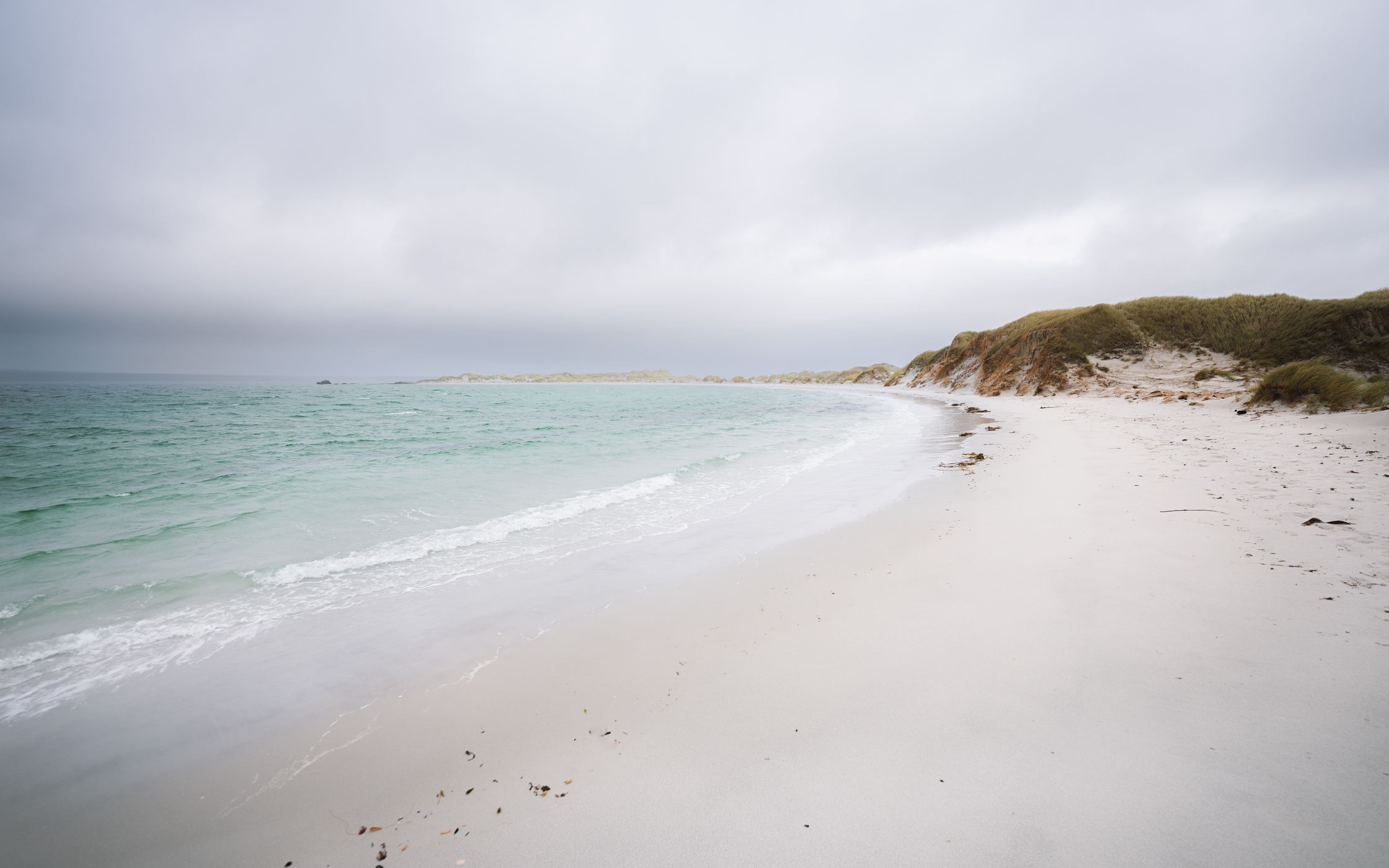 Yorke Bay Beach, Falkland Islands (Malvinas)