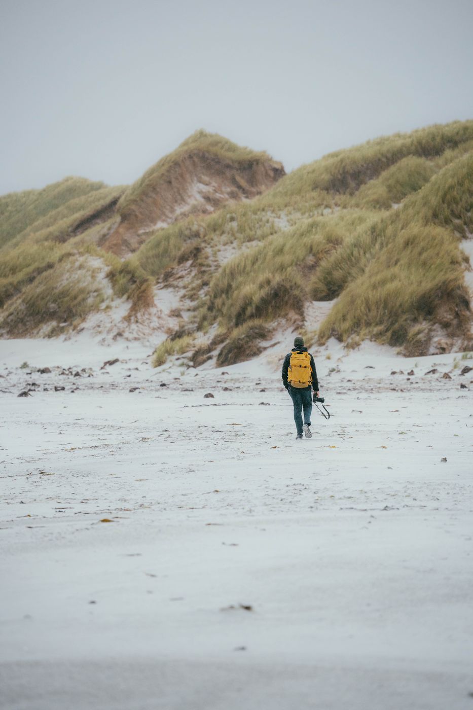 Yorke Bay Beach, Falkland Islands (Malvinas)