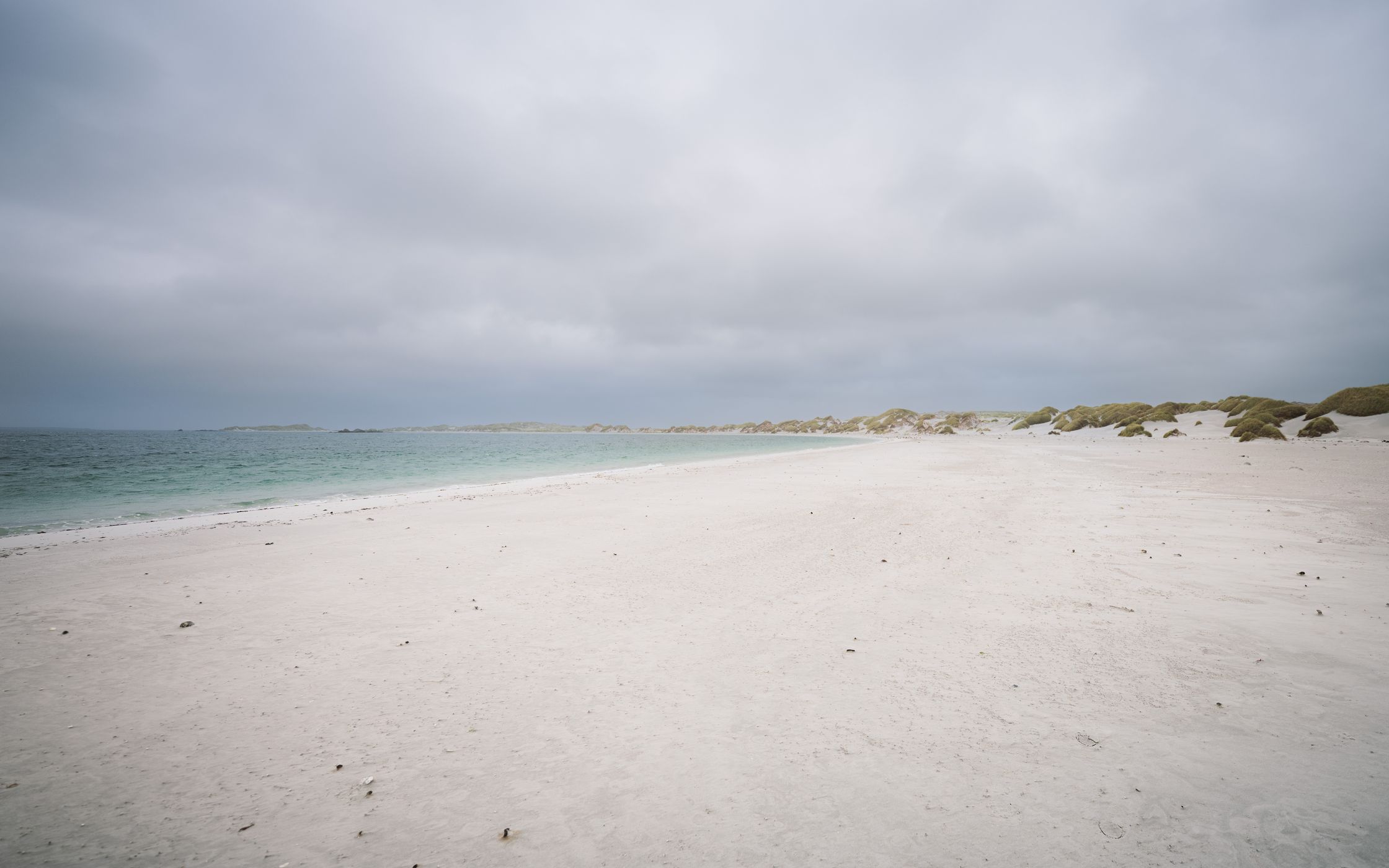 Yorke Bay Beach Middle, Falkland Islands (Malvinas)