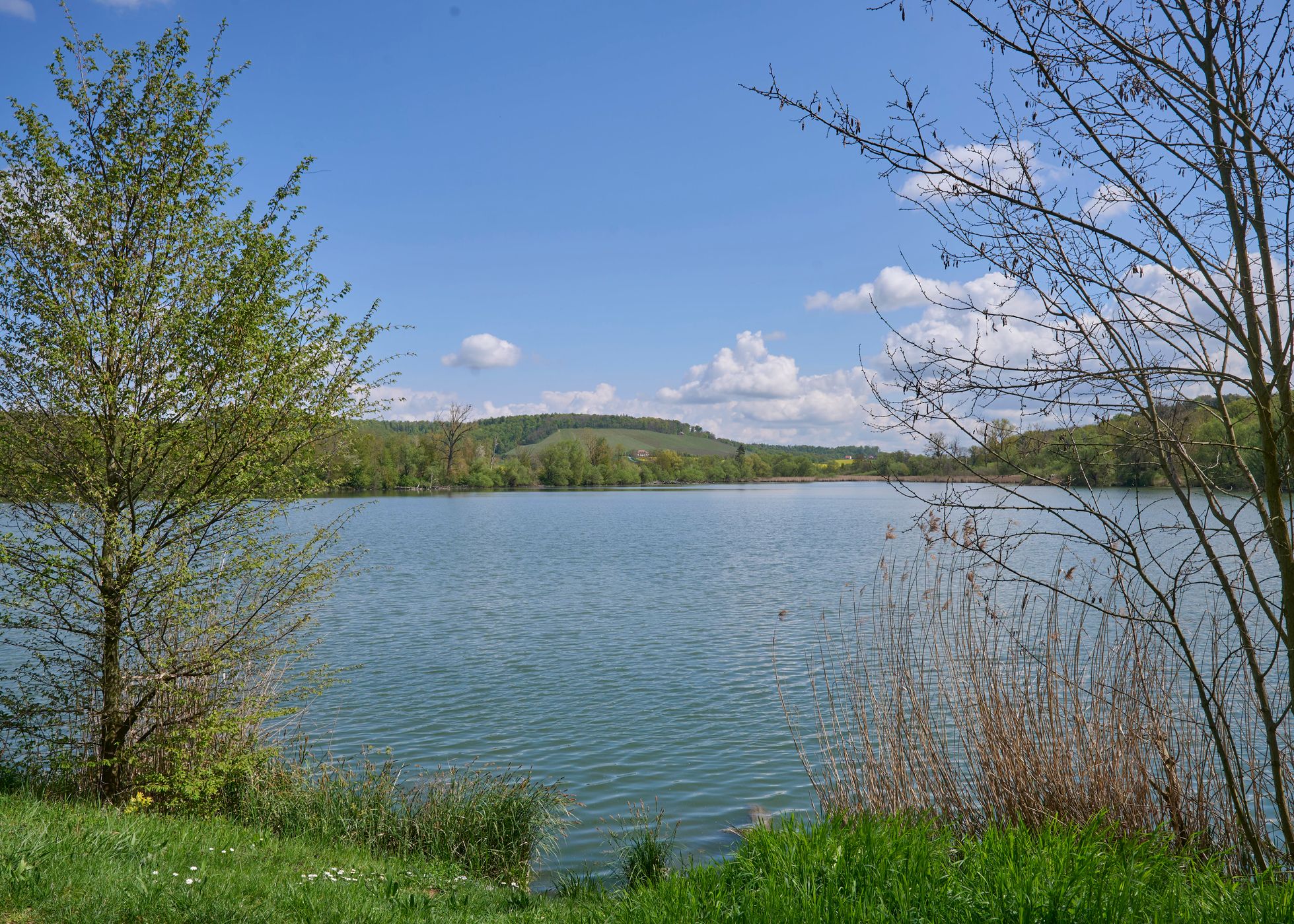 Aalkistensee, Germany