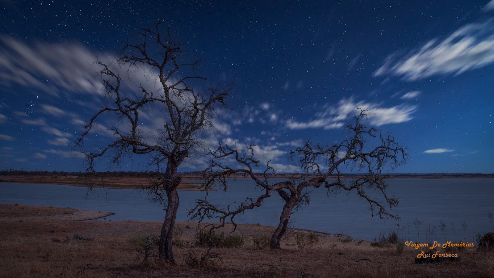 Alqueva Dark Sky Trees, Portugal