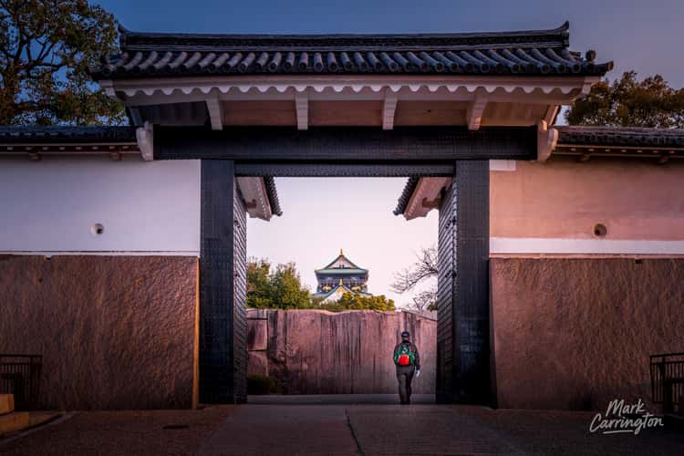 Aoyamon Gate at Osaka Castle