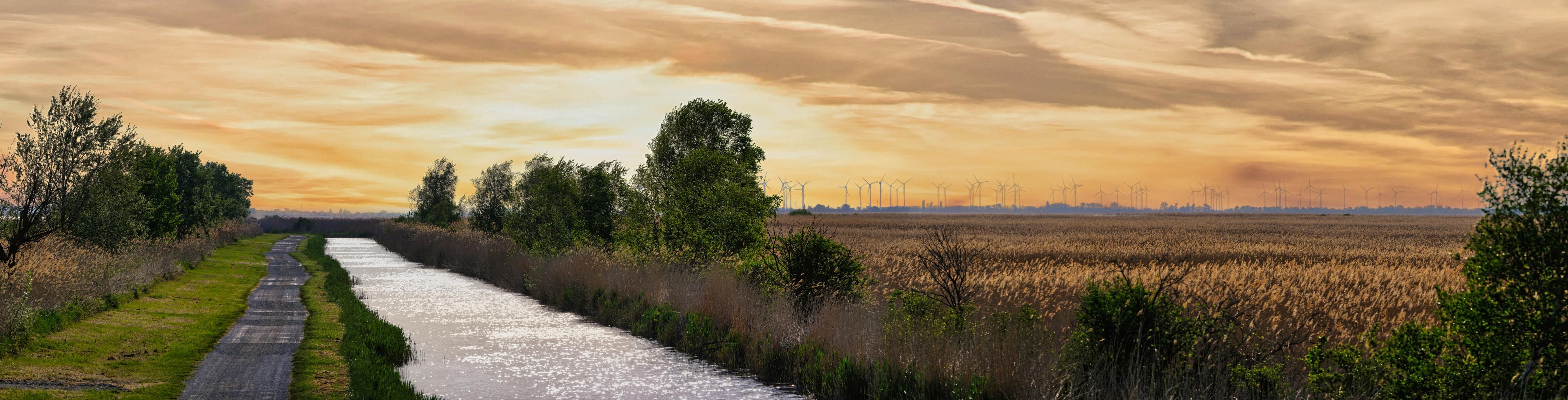at Lake Neusiedl, Austria