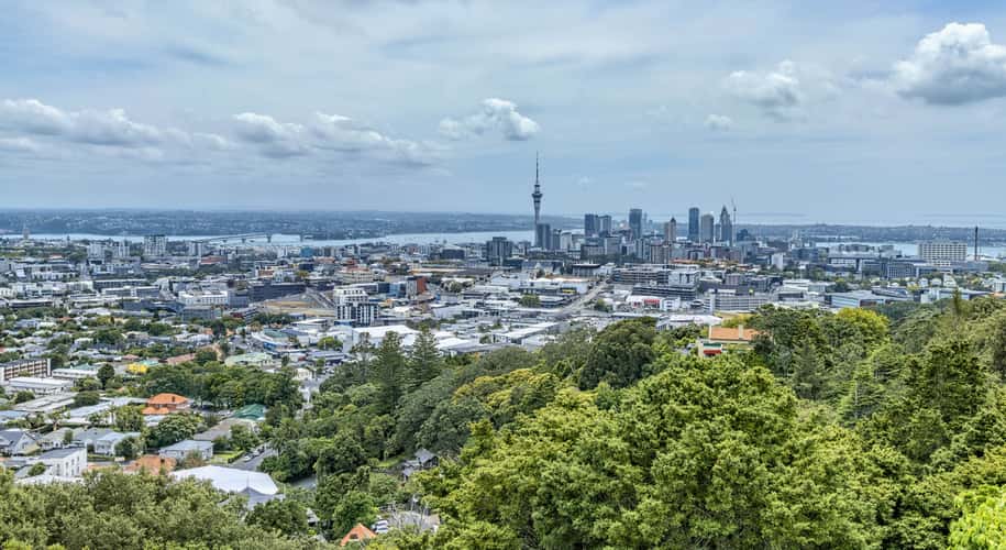 Auckland Tower View