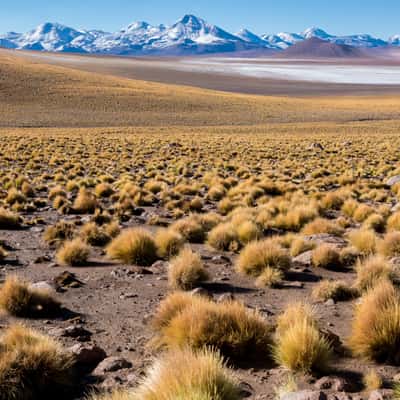 B-245 near El Tatio, Chile