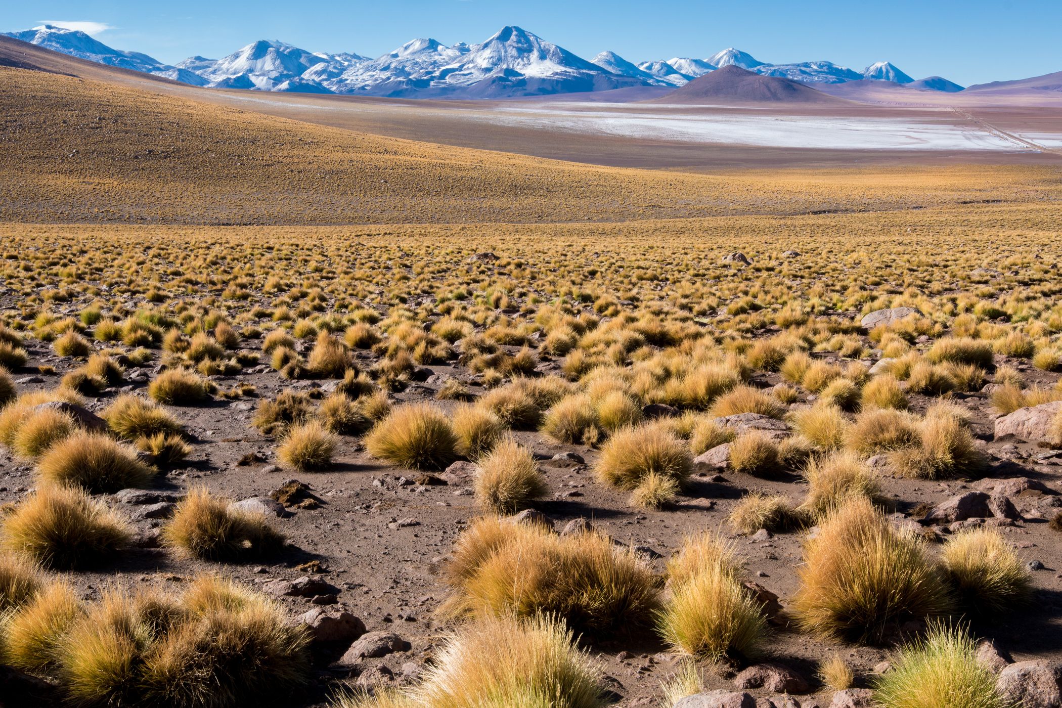 B-245 near El Tatio, Chile