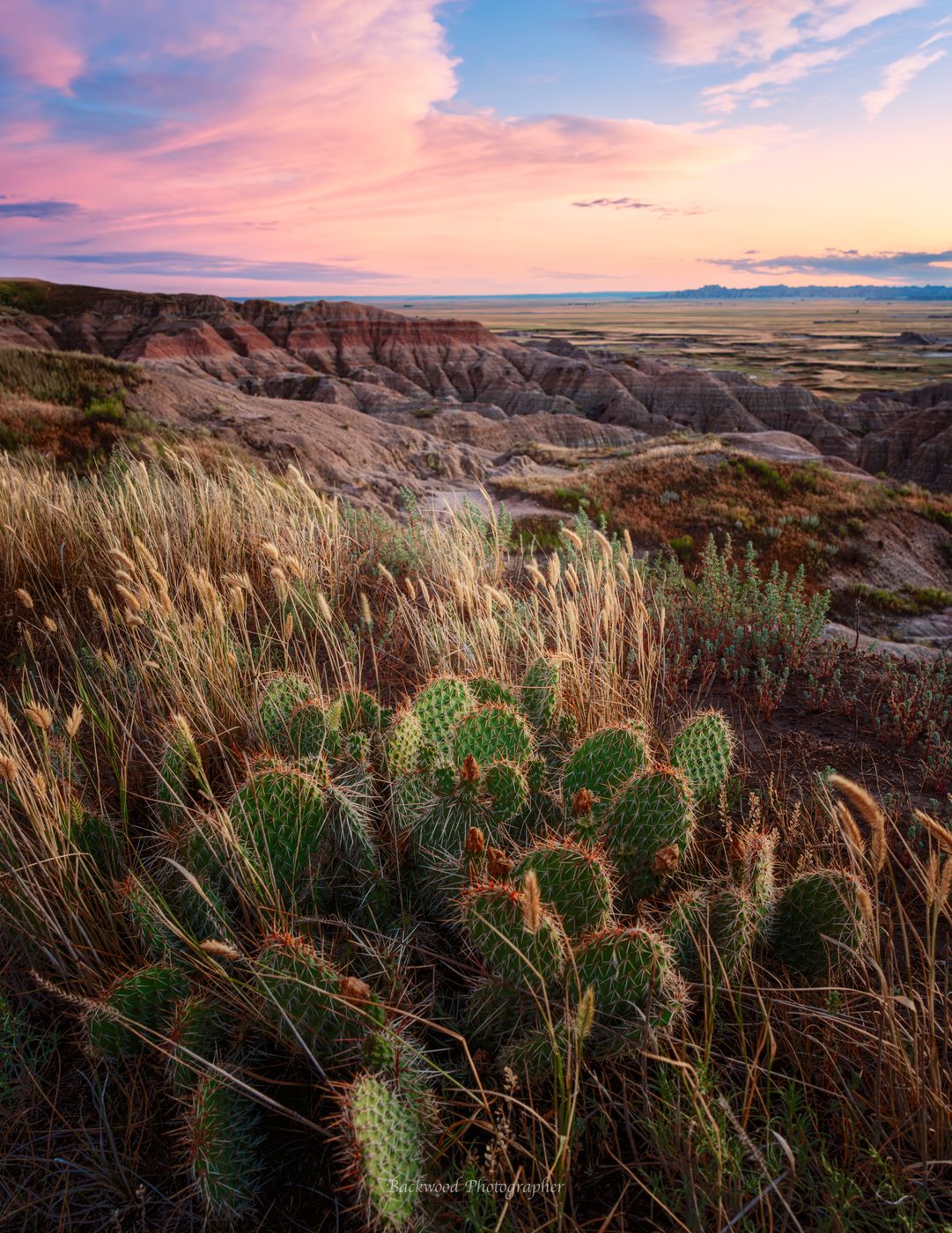 Badlands Loop Road, USA
