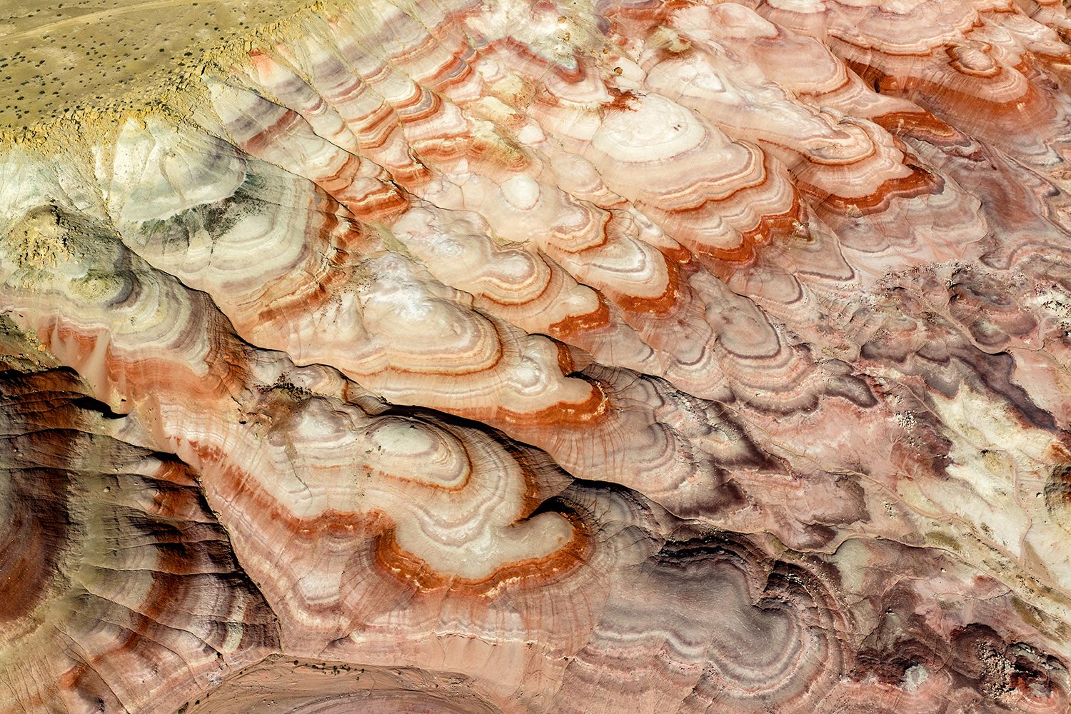 Bentonite hills, USA