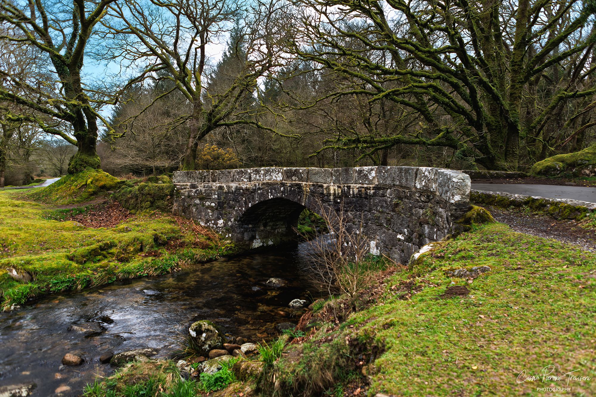 Burrator Reservoir Woodland & Moorland, Dartmoor, United Kingdom