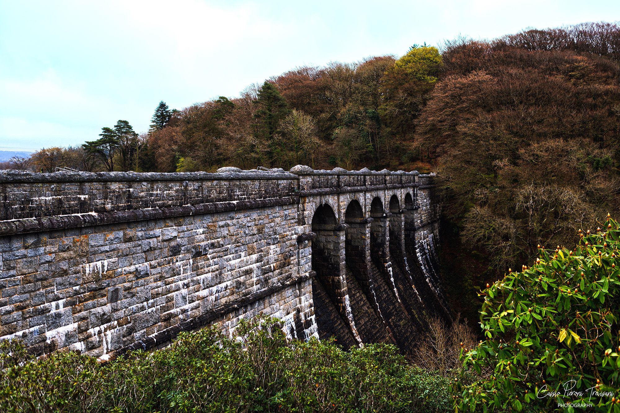 Burrator Reservoir Woodland & Moorland, Dartmoor, United Kingdom