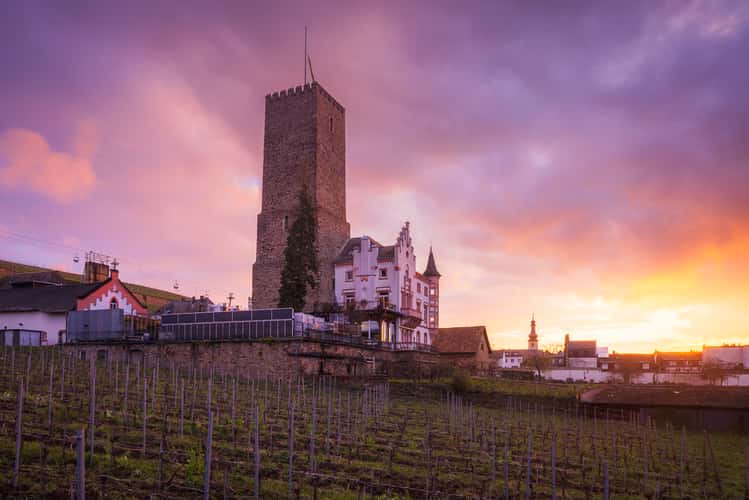 Carl Jung GmbH Winery, Rüdesheim am Rhein