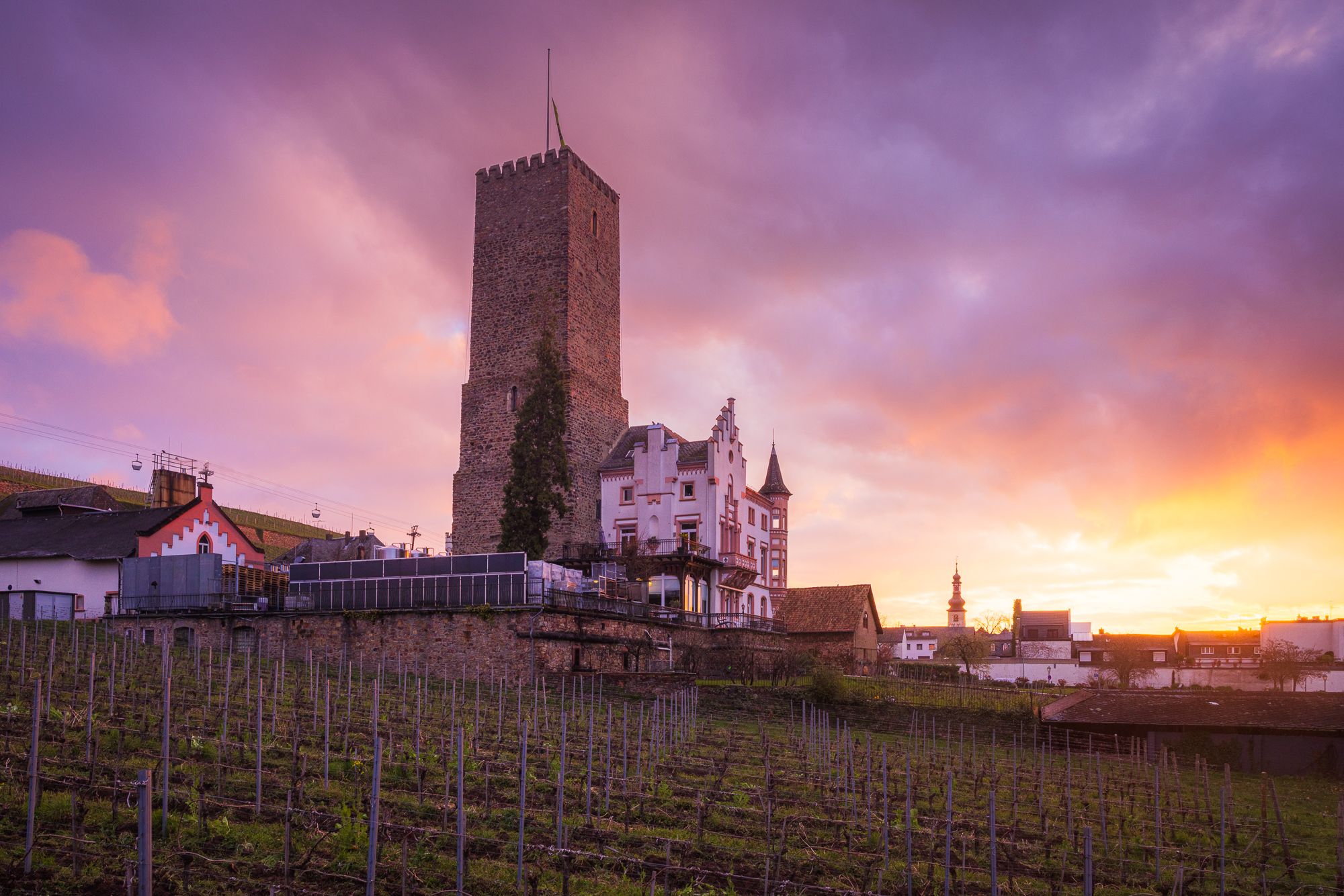 Carl Jung GmbH Winery, Rüdesheim am Rhein, Germany