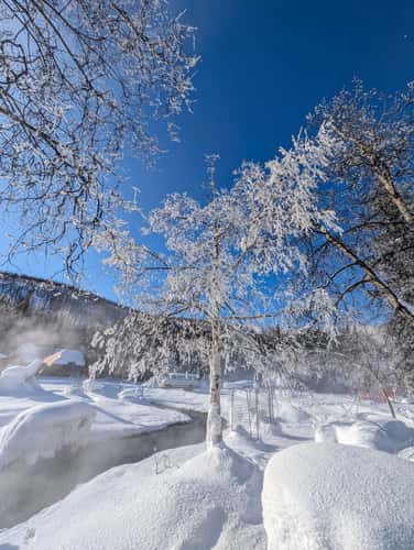 Chena Hot Springs Resort
