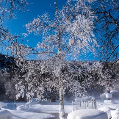 Chena Hot Springs Resort, USA