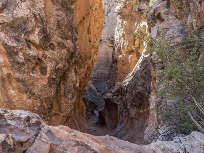 Cottonwood Narrows