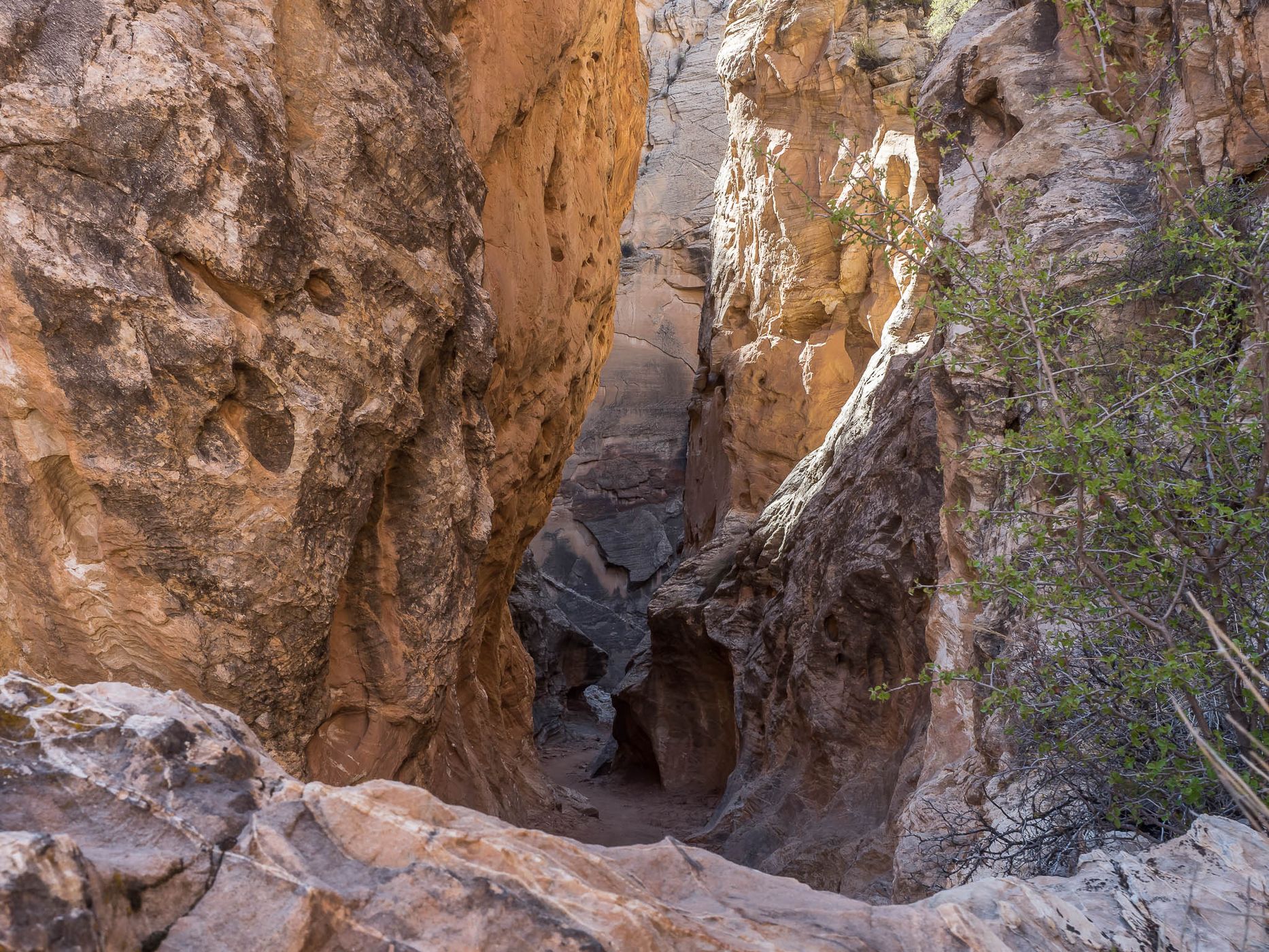 Cottonwood Narrows, USA