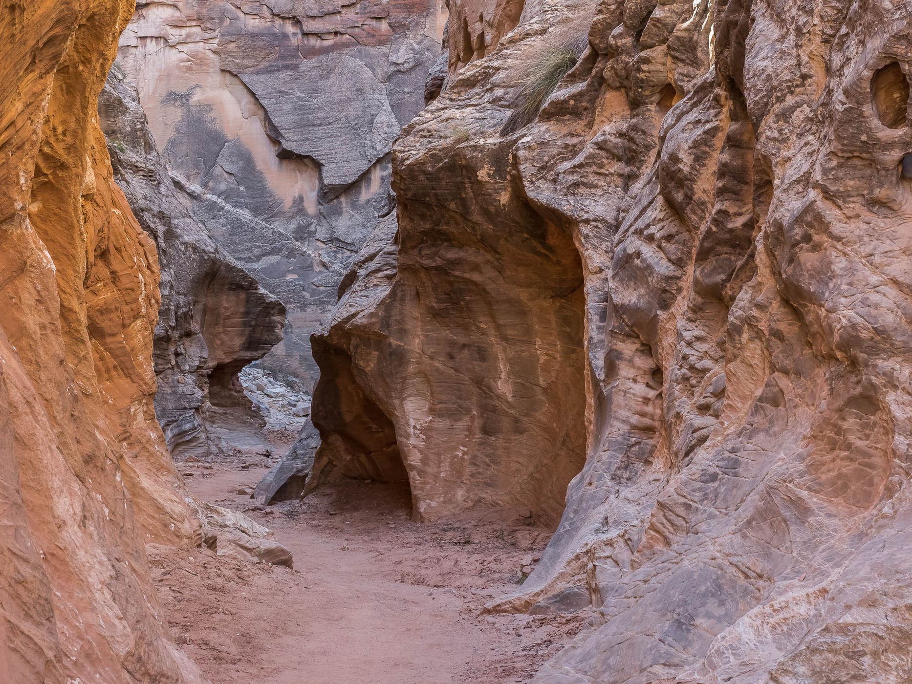 Cottonwood Narrows, USA