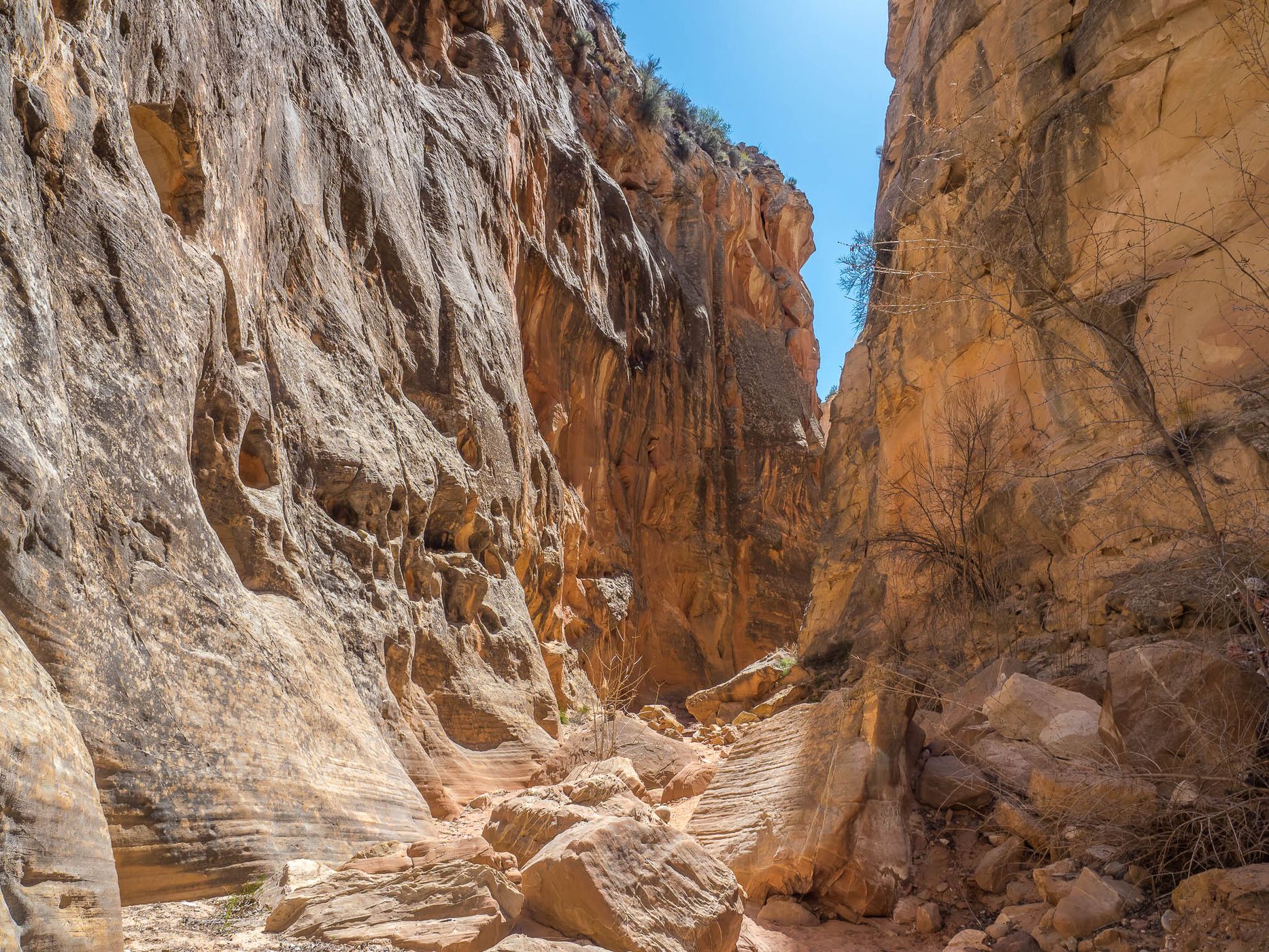 Cottonwood Narrows, USA