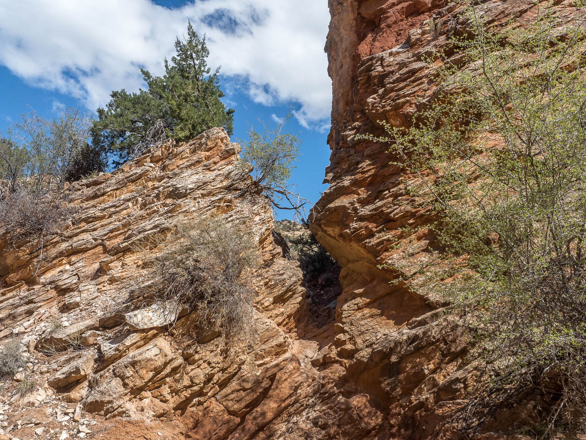 Cottonwood Narrows, USA