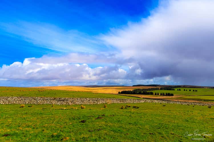 Dartmoor National Park