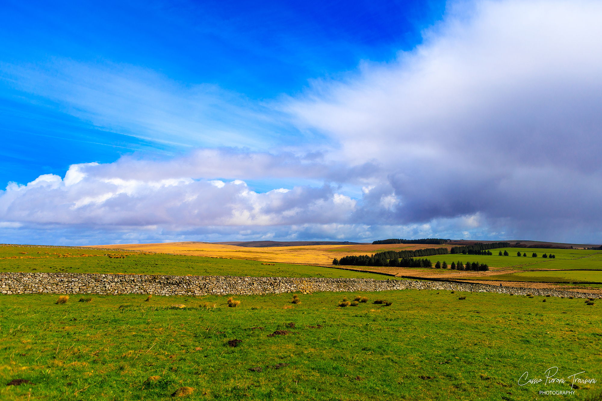 Dartmoor National Park, United Kingdom
