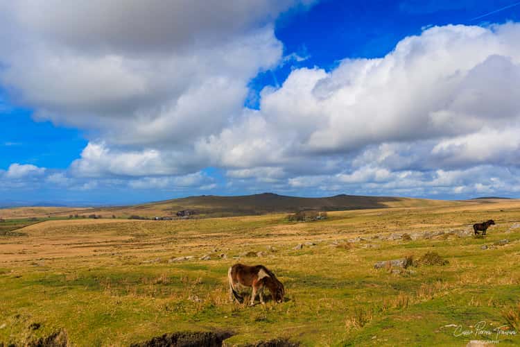 Dartmoor National Park