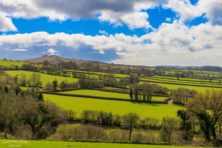 Dartmoor National Park