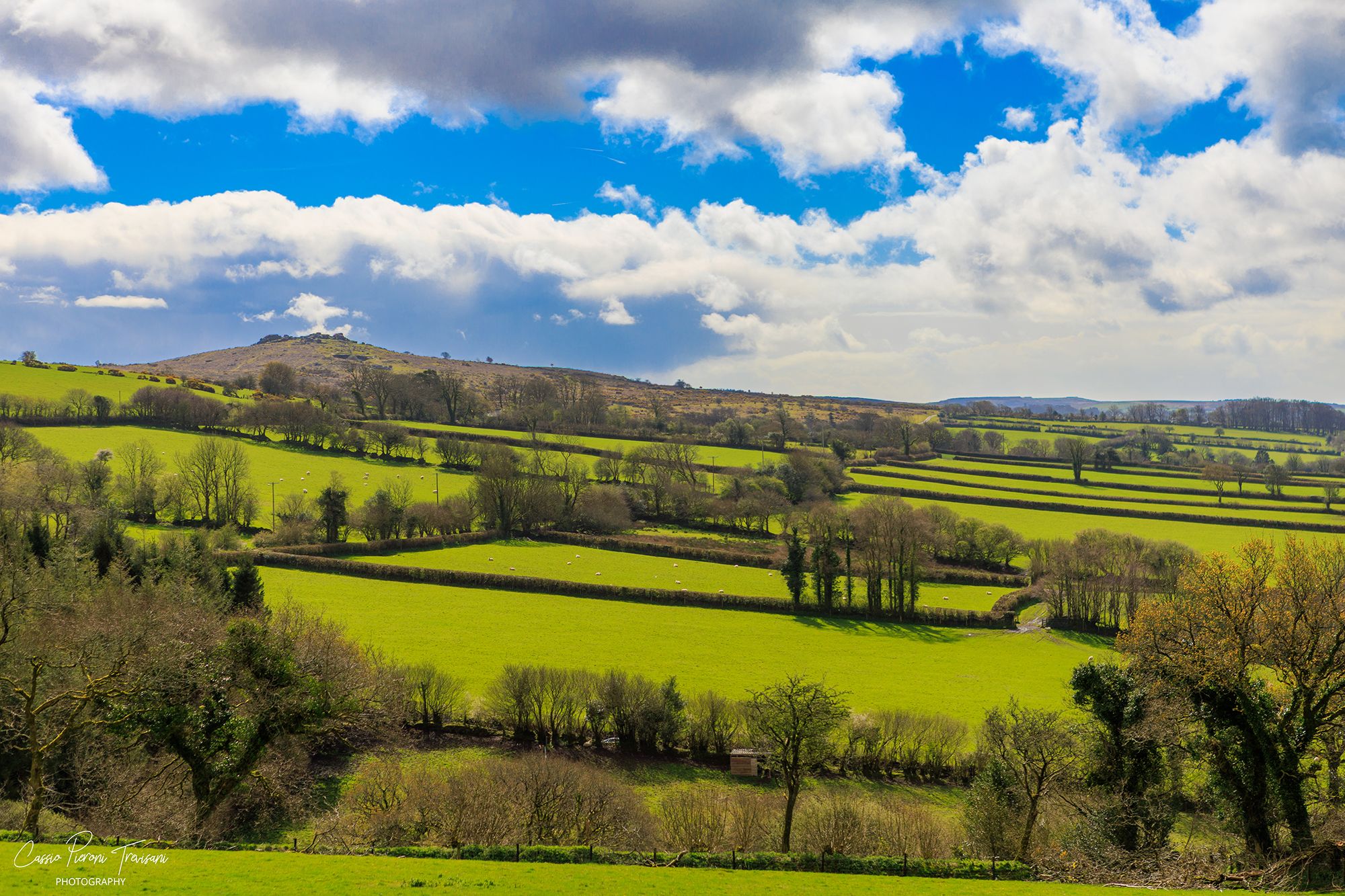 Dartmoor National Park, United Kingdom