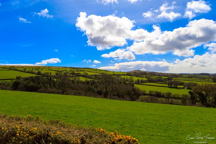 Dartmoor National Park