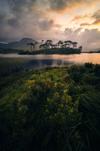 Derryclare Lough, Twelve Pines