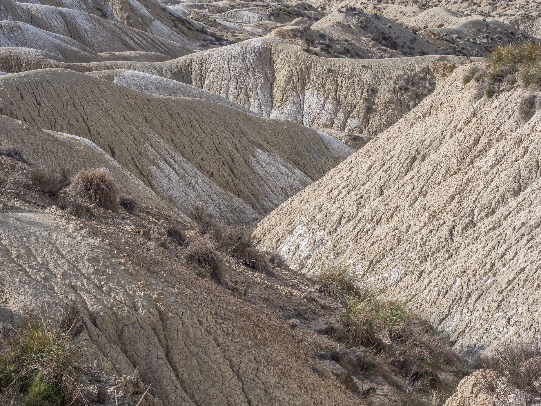 Desierto de Murcia, Abanilla, Spain