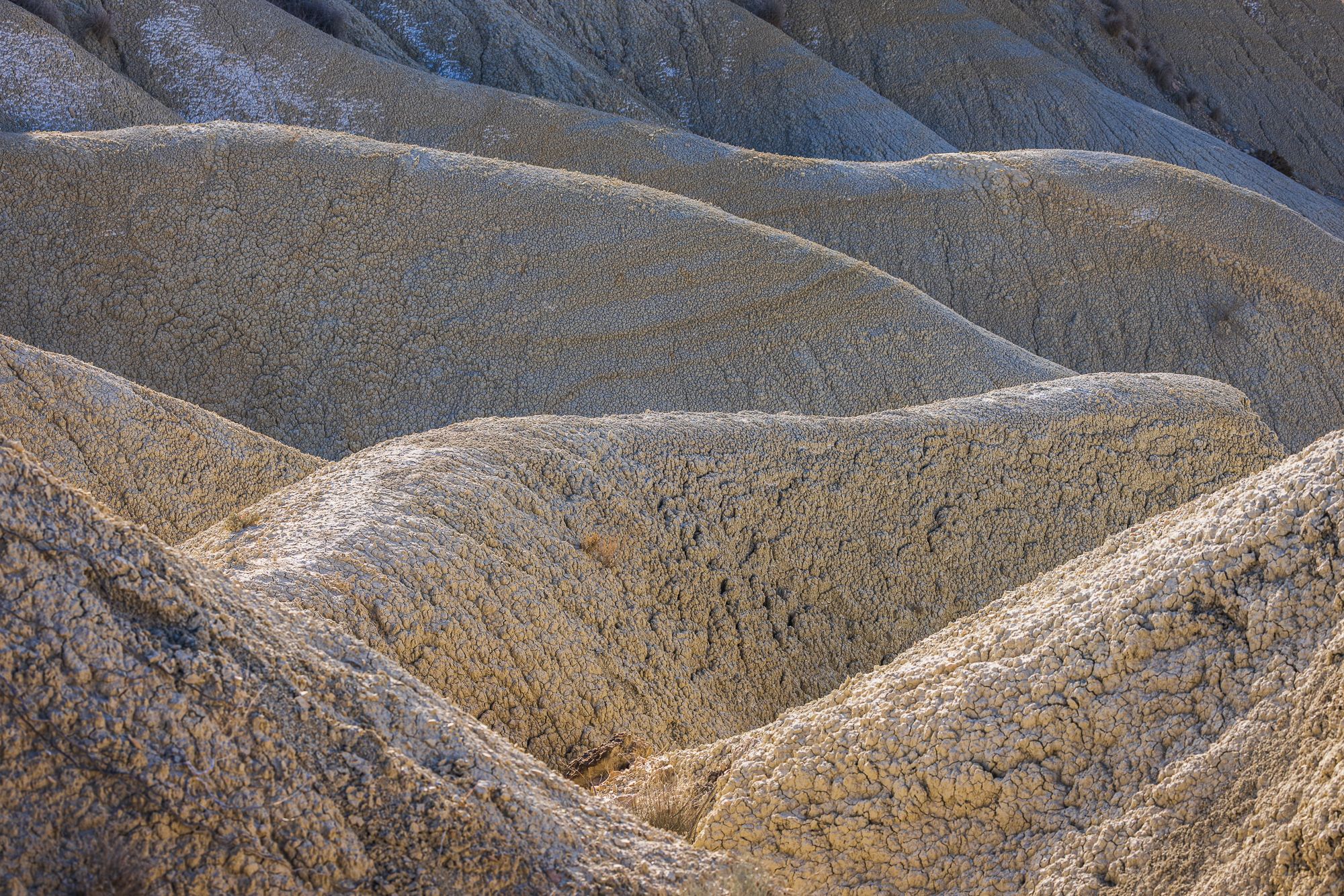 Desierto de Murcia, Abanilla, Spain