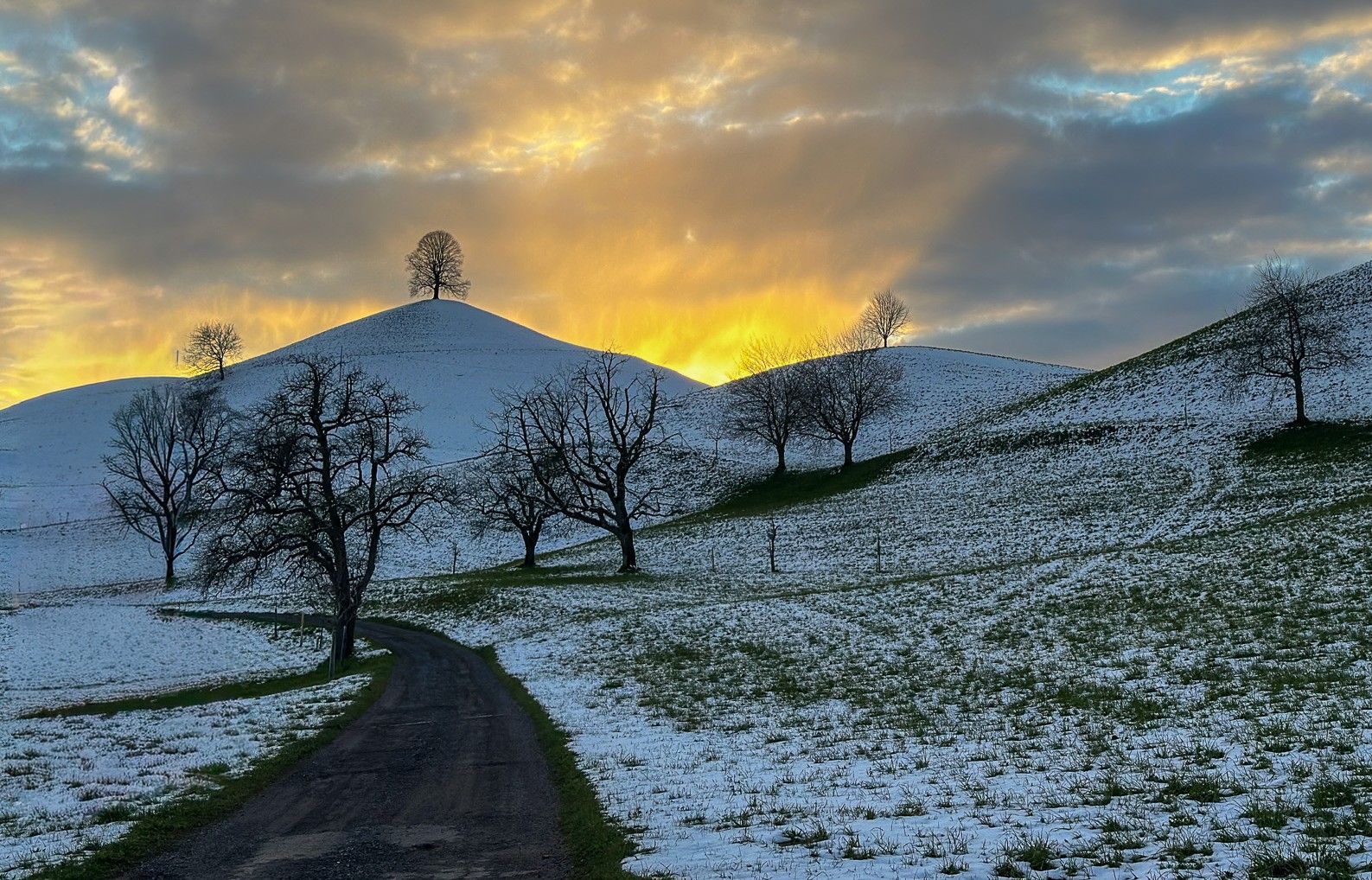 Fairy tale trees, Neuheim, Switzerland