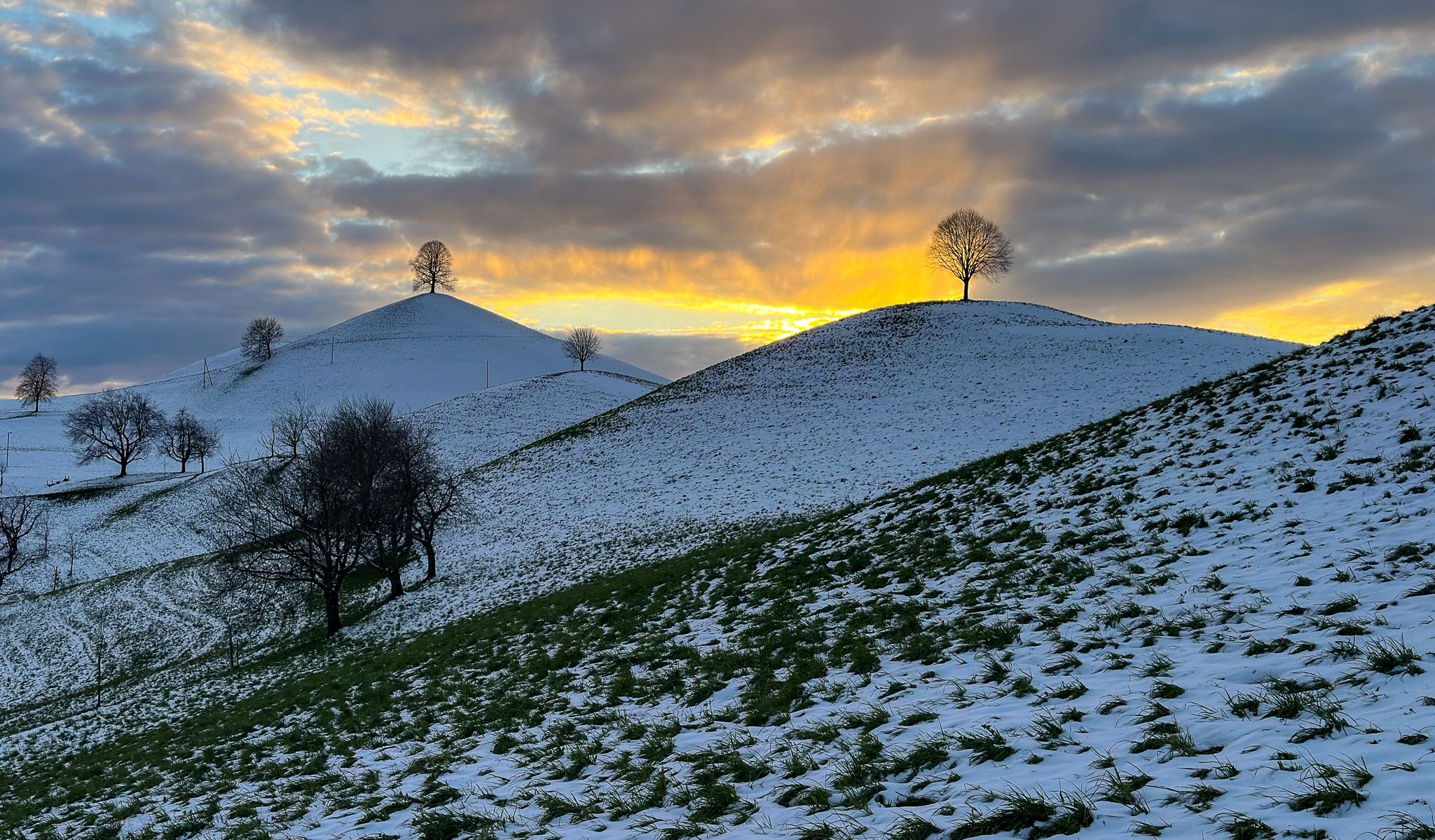 Fairy tale trees, Neuheim, Switzerland