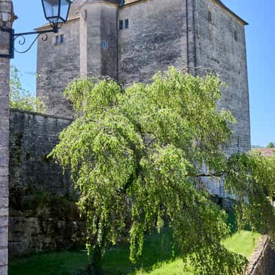 Fondremabd Castle, France