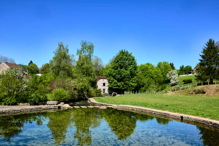 Fondremand - La source de la Romaine