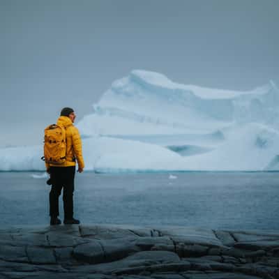 Glacier and Icebergs at Portal Point, Antarctica, Antarctica