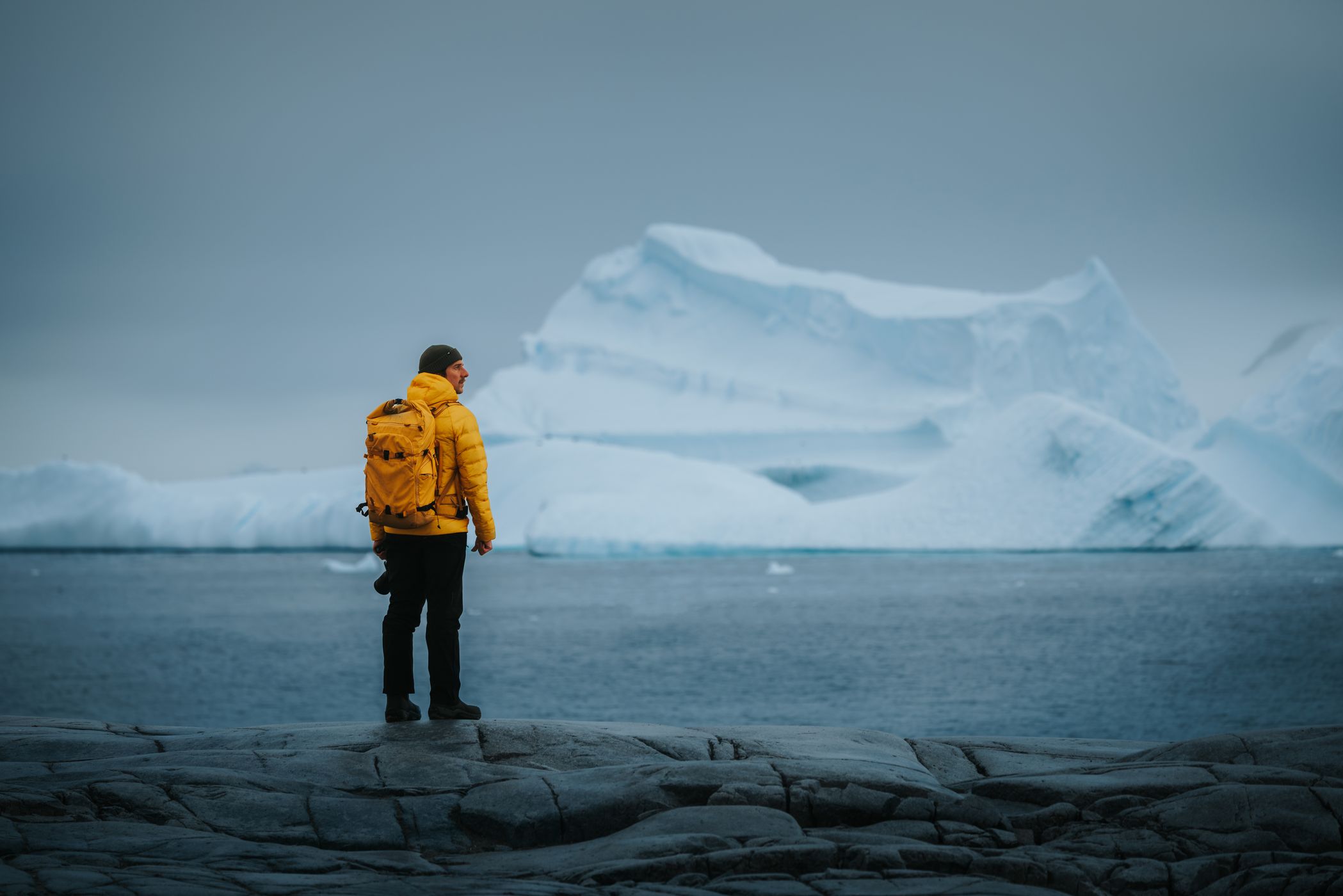 Glacier and Icebergs at Portal Point, Antarctica, Antarctica