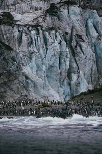 Glacier at Gold Harbour, South Georgia